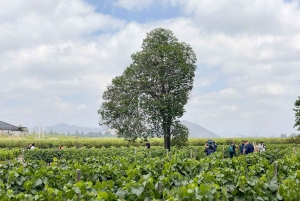 From Santiago: Concha y Toro Marqués Full-Day Wine Tasting