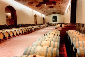 From Santiago: Concha y Toro Marqués Full-Day Wine Tasting