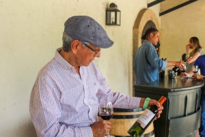 From Santiago: Concha y Toro Marqués Full-Day Wine Tasting