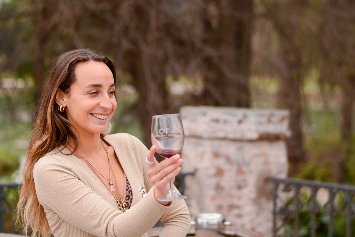 From Santiago: Concha y Toro Premium Full-Day Wine Tasting