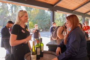 From Santiago: Concha y Toro Premium Full-Day Wine Tasting