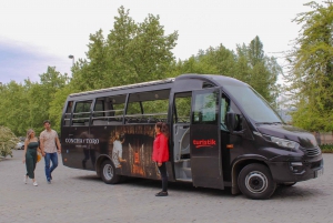 From Santiago: Concha y Toro Premium Full-Day Wine Tasting