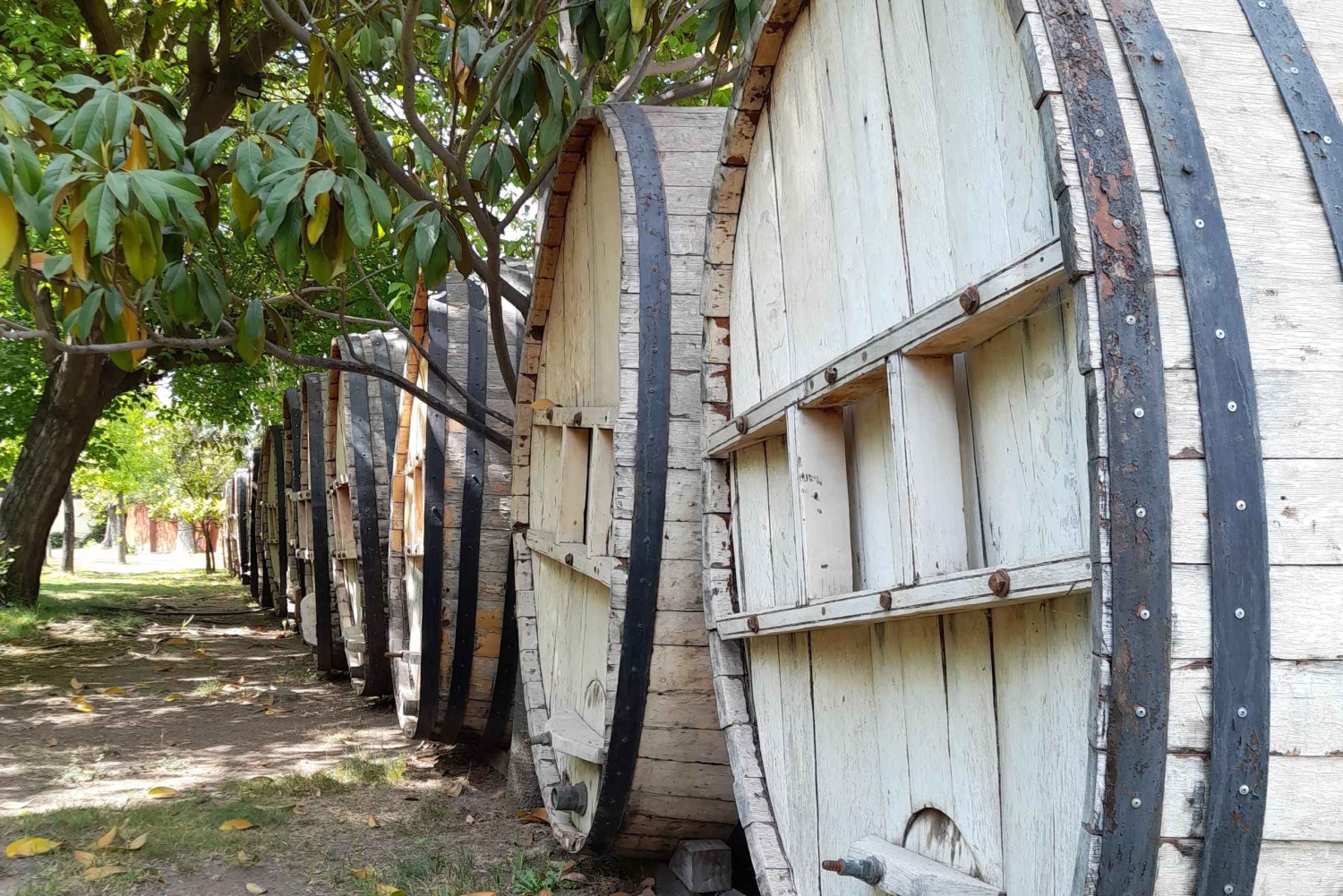 Z Santiago: Winiarnia Concha y Toro - wycieczka z przewodnikiem i degustacja