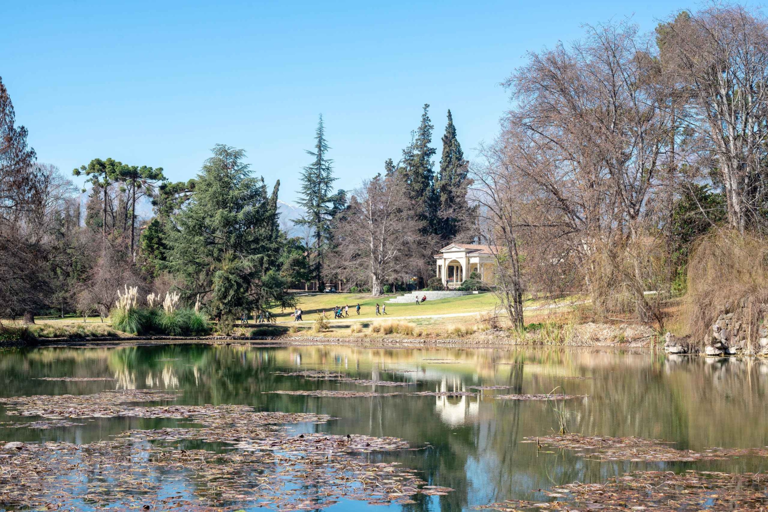 Z Santiago: Winiarnia Concha y Toro - wycieczka z przewodnikiem i degustacja