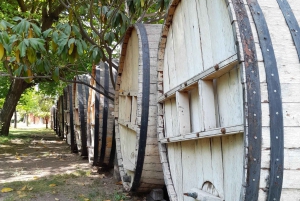 Z Santiago: Winiarnia Concha y Toro - wycieczka z przewodnikiem i degustacja