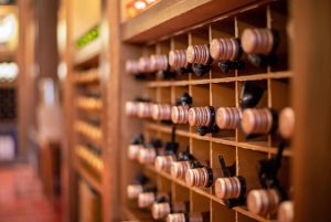 Z Santiago: Winiarnia Concha y Toro - wycieczka z przewodnikiem i degustacja