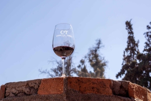 Z Santiago: Winiarnia Concha y Toro - wycieczka z przewodnikiem i degustacja