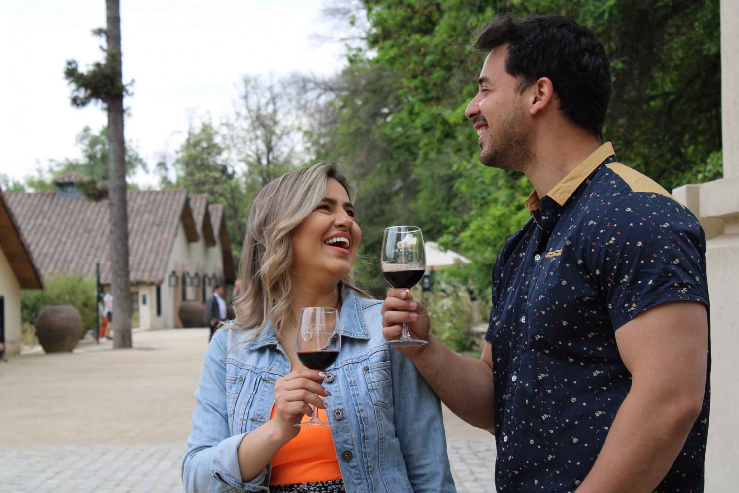 De Santiago: Visita de meio dia à vinícola Concha y Toro para degustação