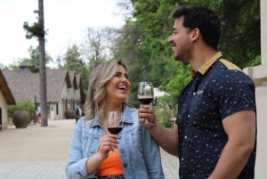 From Santiago: Concha y Toro Half-Day Winery Tasting Tour