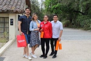 From Santiago: Concha y Toro Half-Day Winery Tasting Tour