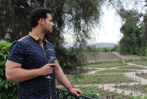 From Santiago: Concha y Toro Winery Half-Day Wine Tasting
