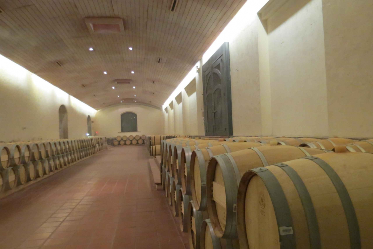 From Santiago: Concha y Toro Winery Tour with Transfer