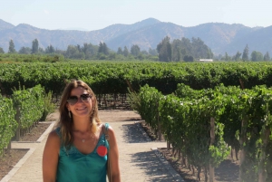 From Santiago: Concha y Toro Winery Tour with Transfer