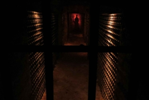 From Santiago: Concha y Toro Winery Tour with Transfer