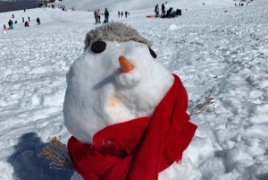 From Santiago: Farellones/Valle Nevado Roundtrip Transfer