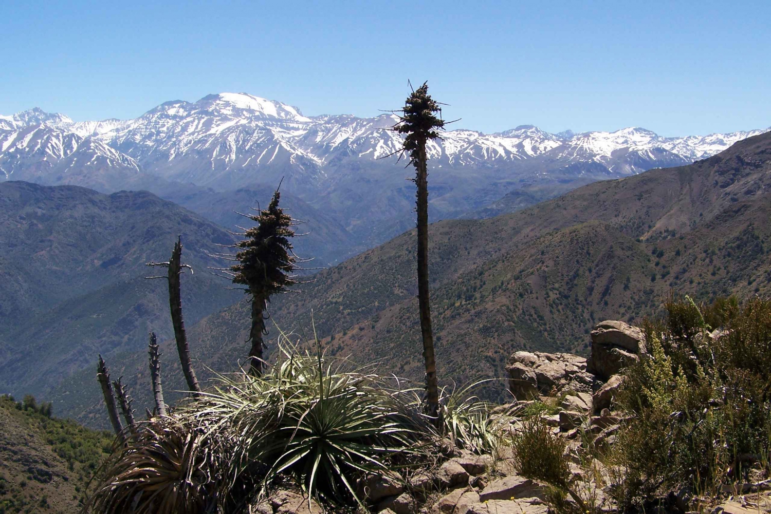 Fra Santiago: En halvdags fottur i Andesfjellene