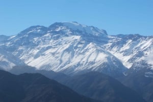 From Santiago: Half-Day Hike in the Andes Mountains