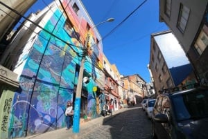 Fra Santiago: Høydepunkter i Valparaiso og Viña del Mar