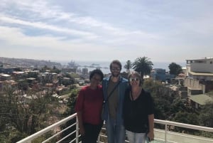 Desde Santiago: tour por Valparaíso y Viña del Mar