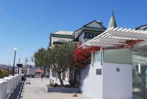 Från Santiago: Isla Negra, Pablo Neruda-museet och vingårdstur
