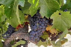 From Santiago: Isla Negra, Pomaire & Vineyard Private Tour