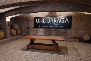 From Santiago: Isla Negra, Pomaire & Vineyard Private Tour