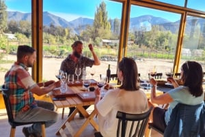 From Santiago: Maipo Valley Vineyards Tour