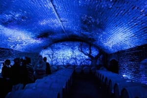De Santiago: Excursão de Vinhos no Vale do Maipo
