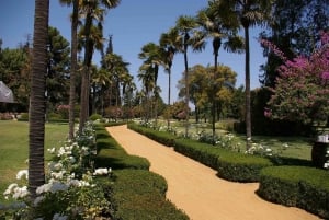 Z Santiago: Maipo Valley Wine Tour