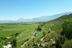 From Santiago: Portillo Inca Lagoon and San Esteban Vineyard