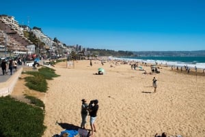 From Santiago: Private Beach Tour with Hotel Pickup