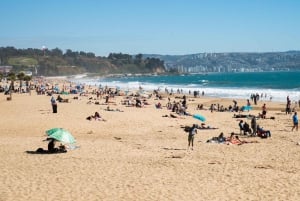 From Santiago: Private Beach Tour with Hotel Pickup