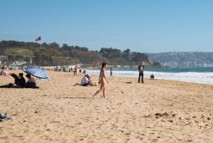 From Santiago: Private Beach Tour with Hotel Pickup