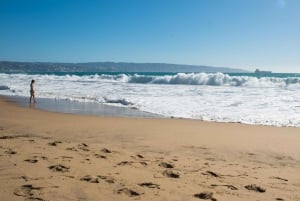 From Santiago: Private Beach Tour with Hotel Pickup