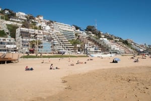 From Santiago: Private Beach Tour with Hotel Pickup