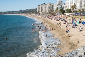 From Santiago: Private Beach Tour with Hotel Pickup