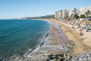 From Santiago: Private Beach Tour with Hotel Pickup