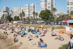 From Santiago: Private Beach Tour with Hotel Pickup
