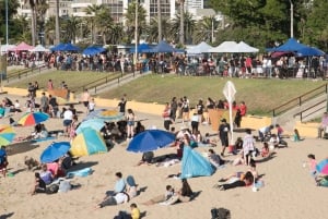 From Santiago: Private Beach Tour with Hotel Pickup