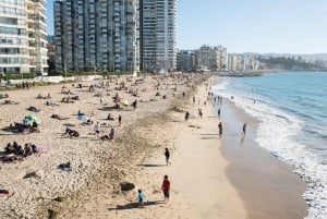 From Santiago: Private Beach Tour with Hotel Pickup