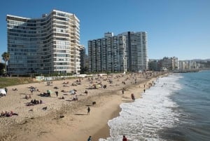 From Santiago: Private Beach Tour with Hotel Pickup