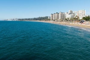 From Santiago: Private Beach Tour with Hotel Pickup