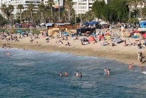 From Santiago: Private Beach Tour with Hotel Pickup