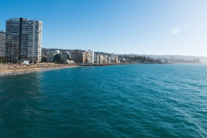 From Santiago: Private Beach Tour with Hotel Pickup