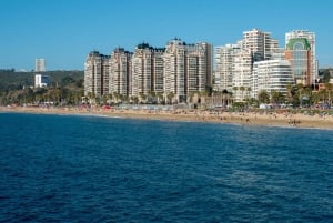 From Santiago: Private Beach Tour with Hotel Pickup