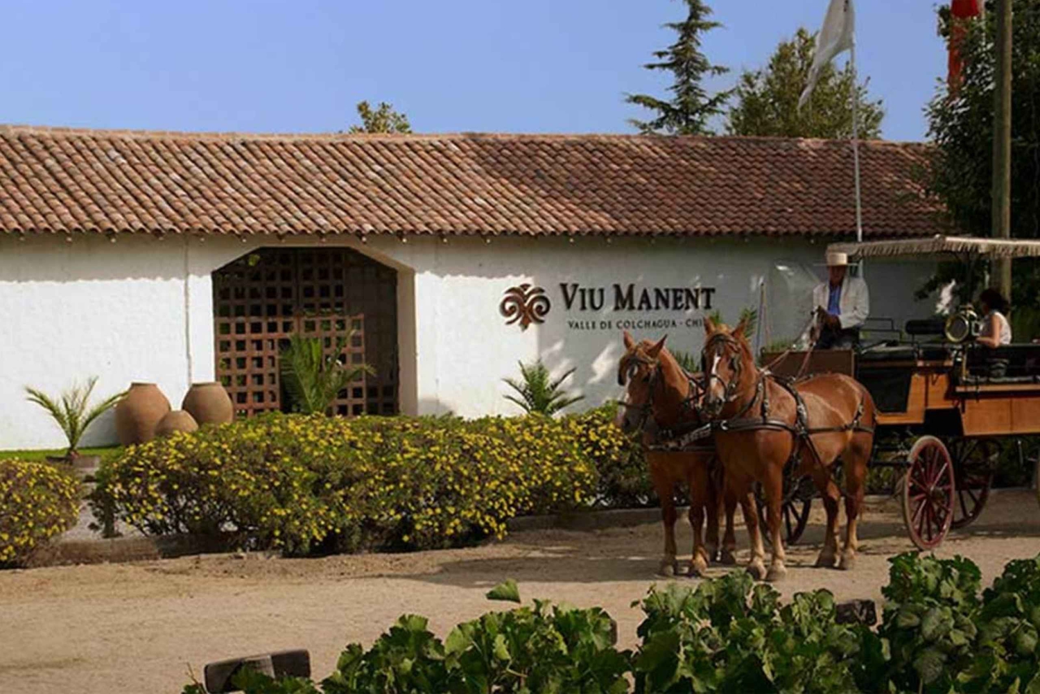 Von Santiago aus: Private Colchagua Valley Weintour mit Verkostung