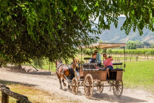 Von Santiago aus: Private Colchagua Valley Weintour mit Verkostung