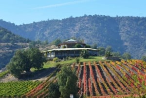 Från Santiago: Privat vinresa i Colchagua-dalen