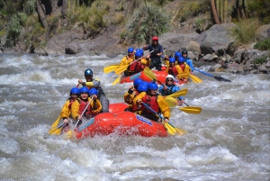 Ab Santiago: Rafting-Tour durch die Schlucht Cajon del Maipo