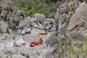 Fra Santiago: Rafting i Maipo Canyon